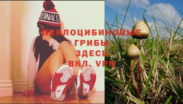 дурь Алзамай
