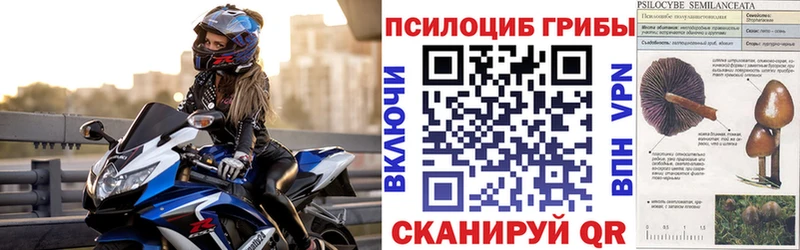 где купить наркотик  Арамиль  Галлюциногенные грибы ЛСД 